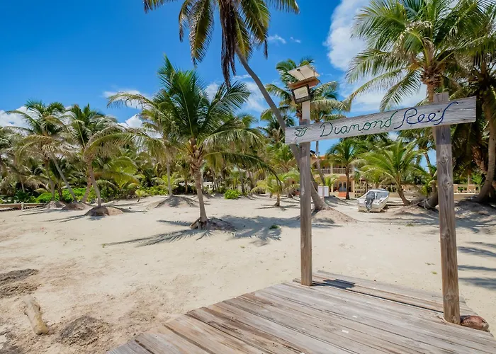 Diamond Reef 3 San Pedro (Ambergris Caye)